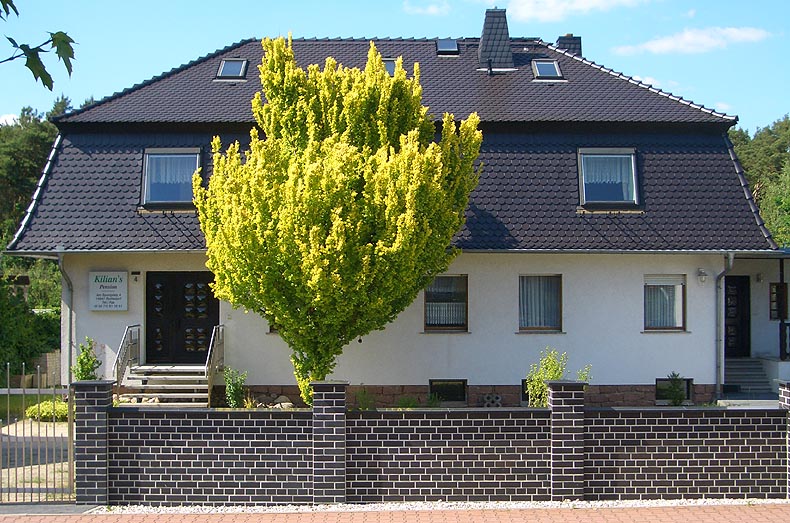 Immobilien Potsdam - Objektfoto