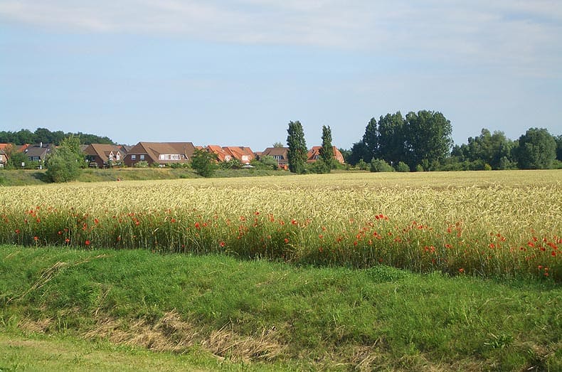 Immobilien Potsdam - Objektfoto