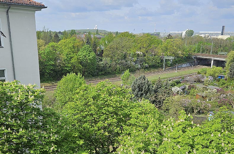 Immobilien Potsdam - Objektfoto