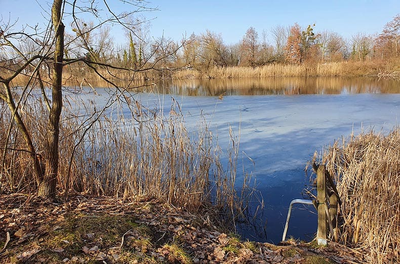 Immobilien Potsdam - Objektfoto