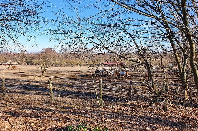 Immobilien Potsdam - Objektfoto