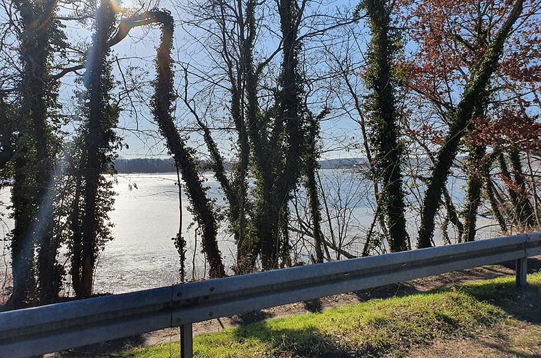 Immobilien Potsdam - Objektfoto