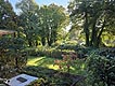 Blick in den Garten und zum Wasser Immobilien Potsdam - Objektfoto