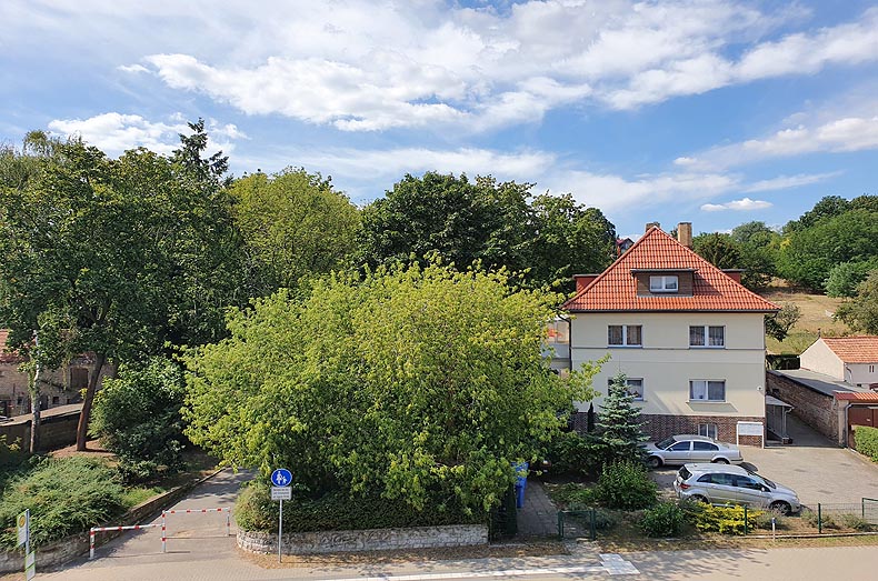 Immobilien Potsdam - Objektfoto