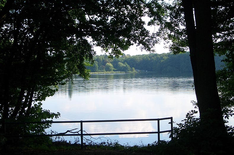 Immobilien Potsdam - Objektfoto